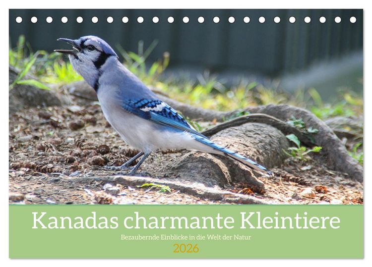 Produktbild: Kanadas charmante Kleintiere - Bezaubernde Einblicke in die Natur (Tischkalender 2026 DIN A5 quer), CALVENDO Monatskalender