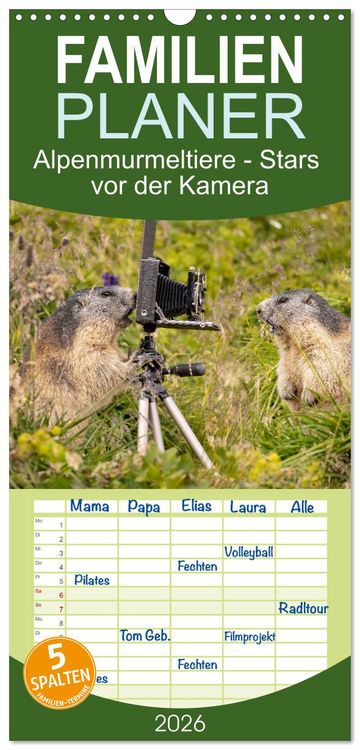 Produktbild: Familienplaner 2026 - Alpenmurmeltiere - Stars vor der Kamera mit 5 Spalten (Wandkalender, 21 x 45 cm) CALVENDO