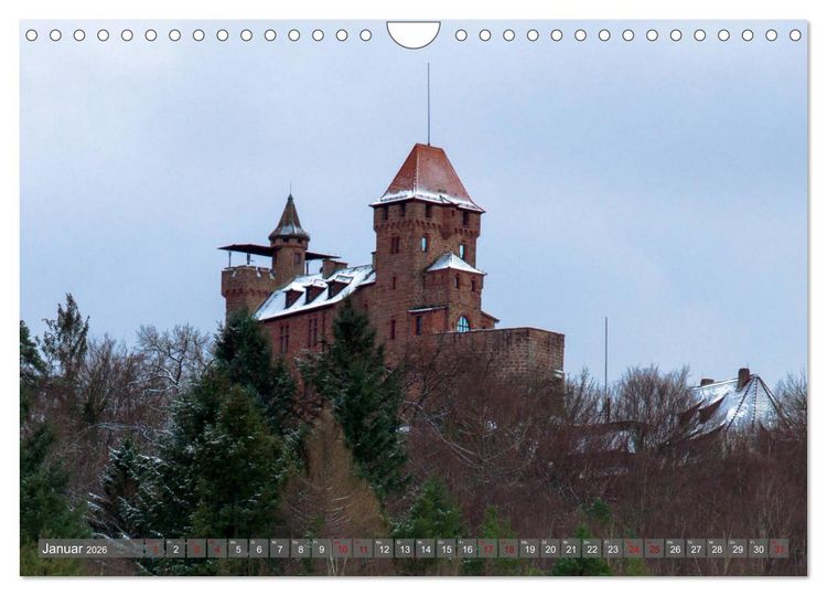 Produktbild: Weinland Pfalz - Region S&uuml;dliche Weinstra&szlig;e (Wandkalender 2026 DIN A4 quer), CALVENDO Monatskalender