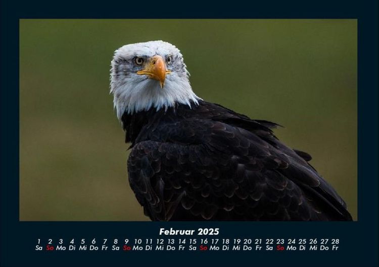 Produktbild: Adler 2025 Fotokalender DIN A4