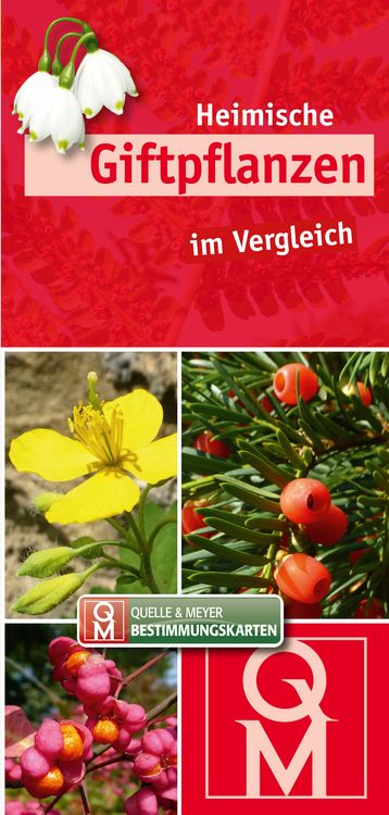 Produktbild: Heimische Giftpflanzen im Vergleich