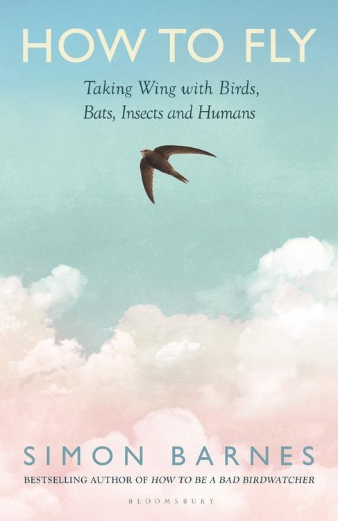 Produktbild: How to Fly