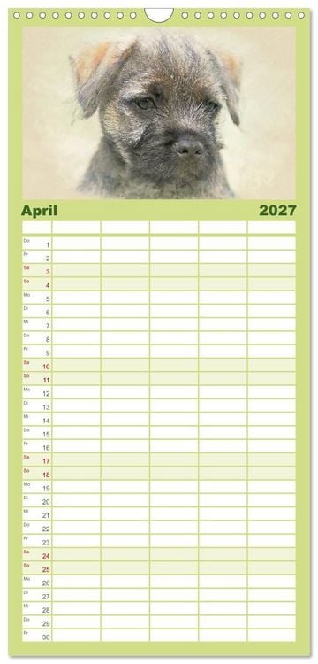 Produktbild: Familienplaner 2027 - Hundewelpen 2027 mit 5 Spalten (Wandkalender, 21 x 45 cm) CALVENDO