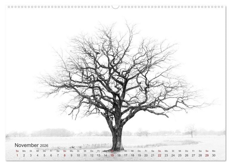 Produktbild: Landschaften und Natur 2026 (hochwertiger Premium Wandkalender 2026 DIN A2 quer), Kunstdruck in Hochglanz