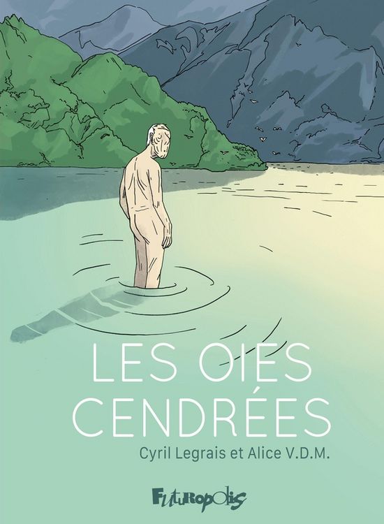 Produktbild: Les oies cendr&eacute;es
