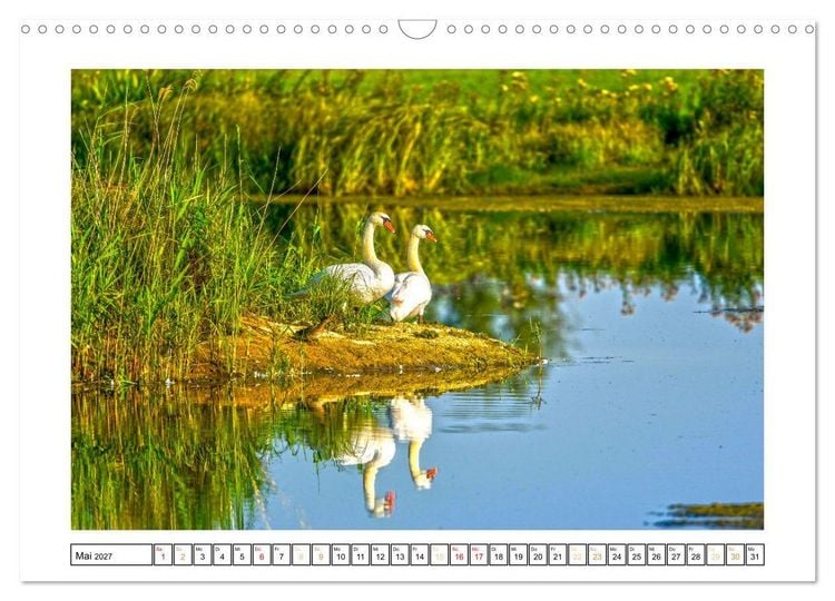 Produktbild: Spreewald Natur und Kulturlandschaft (Wandkalender 2027 DIN A3 quer), CALVENDO Monatskalender