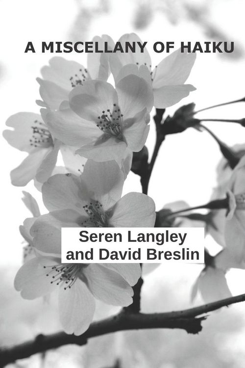 Produktbild: A Miscellany of Haiku