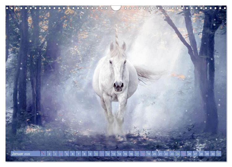 Produktbild: Einhorn Zauber - anmutige Einhornbilder (Wandkalender 2026 DIN A3 quer), CALVENDO Monatskalender