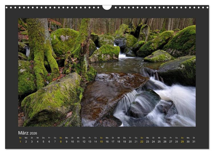 Produktbild: Poesie der Natur (Wandkalender 2026 DIN A3 quer), CALVENDO Monatskalender