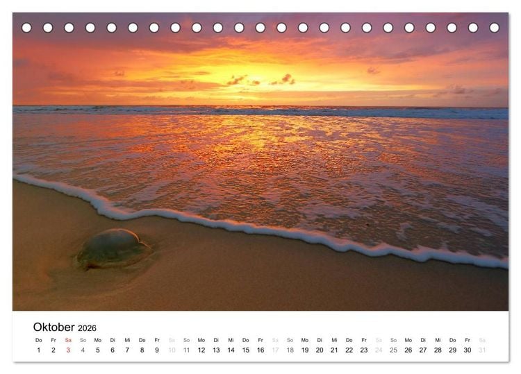 Produktbild: Sylt, der nordfriesische Inseltraum (Tischkalender 2026 DIN A5 quer), CALVENDO Monatskalender