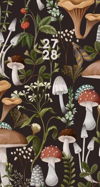 Produktbild: Mushrooms 2-Year 2027-28 3.5 X 6.5 Monthly Pocket Planner
