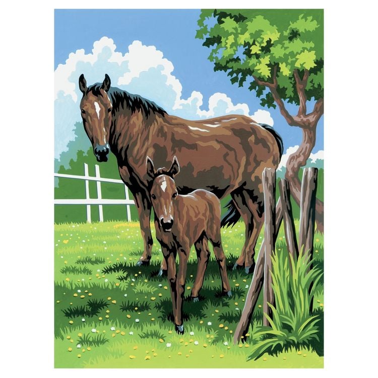 Produktbild: PRACHT Malen nach Zahlen Junior Stute 33x24cm