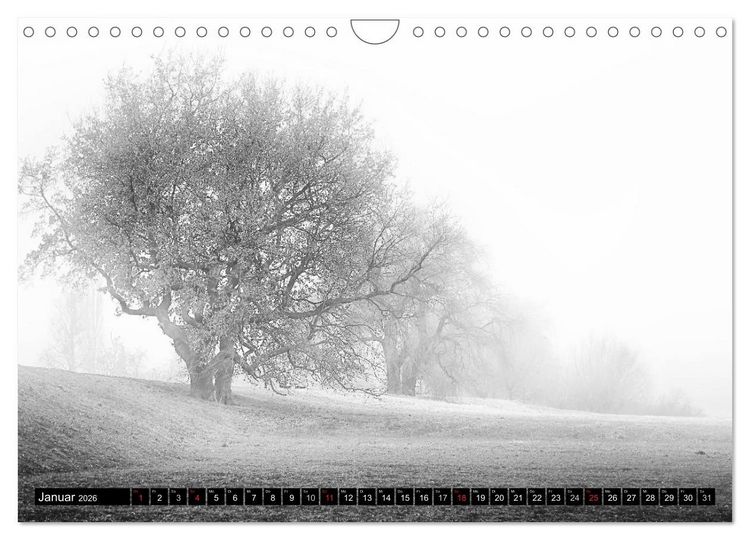 Produktbild: Die Magie der Stille (Wandkalender 2026 DIN A4 quer), CALVENDO Monatskalender