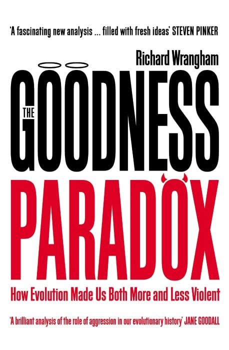 Produktbild: The Goodness Paradox