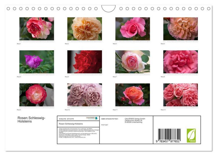 Produktbild: Rosen Schleswig-Holsteins (Wandkalender 2026 DIN A4 quer), CALVENDO Monatskalender