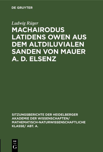 Produktbild: Machairodus latidens Owen aus dem altdiluvialen Sanden von Mauer a. d. Elsenz