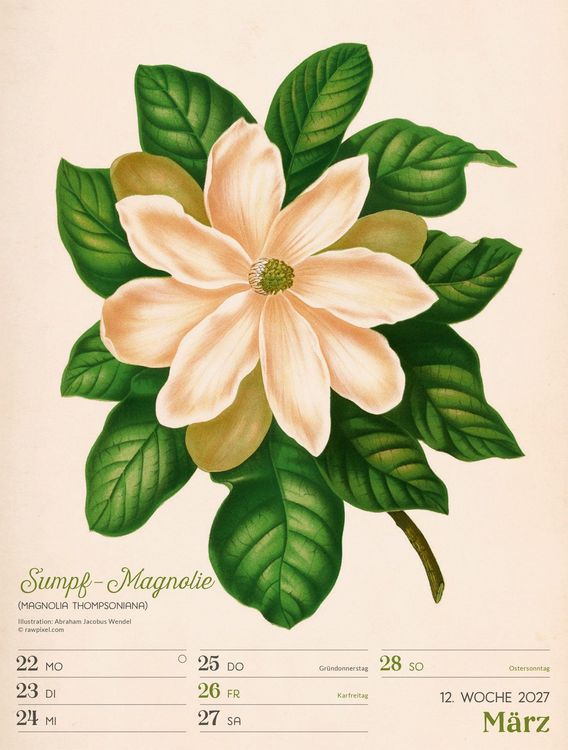 Produktbild: Ars Floralis Wochenplaner Kalender 2027