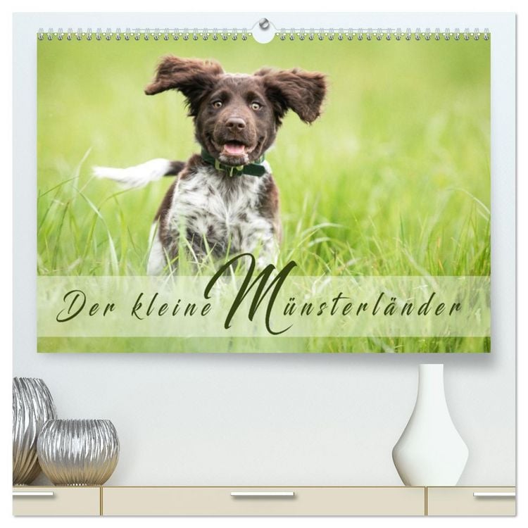 Produktbild: Der kleine M&uuml;nsterl&auml;nder (hochwertiger Premium Wandkalender 2026 DIN A2 quer), Kunstdruck in Hochglanz
