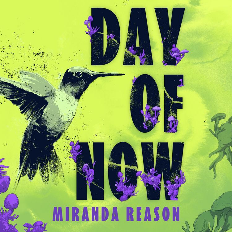 Produktbild: Day of Now