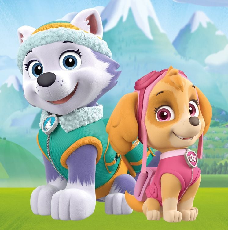 Produktbild: Paw Patrol - Ein neuer Fellfreund