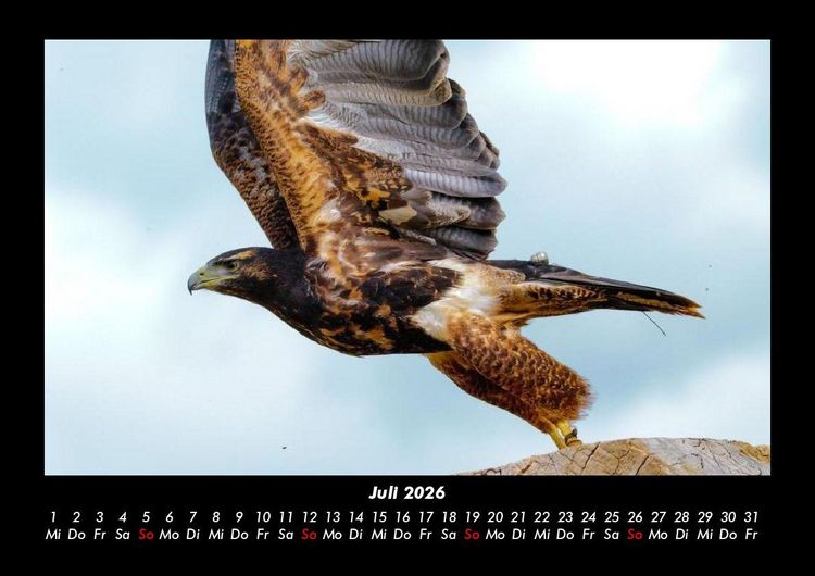 Produktbild: Adler 2026 Fotokalender DIN A3