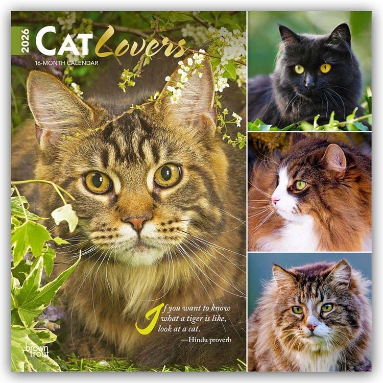 Produktbild: Cat Lovers – Katzenliebhaber 2026 – 16-Monatskalender