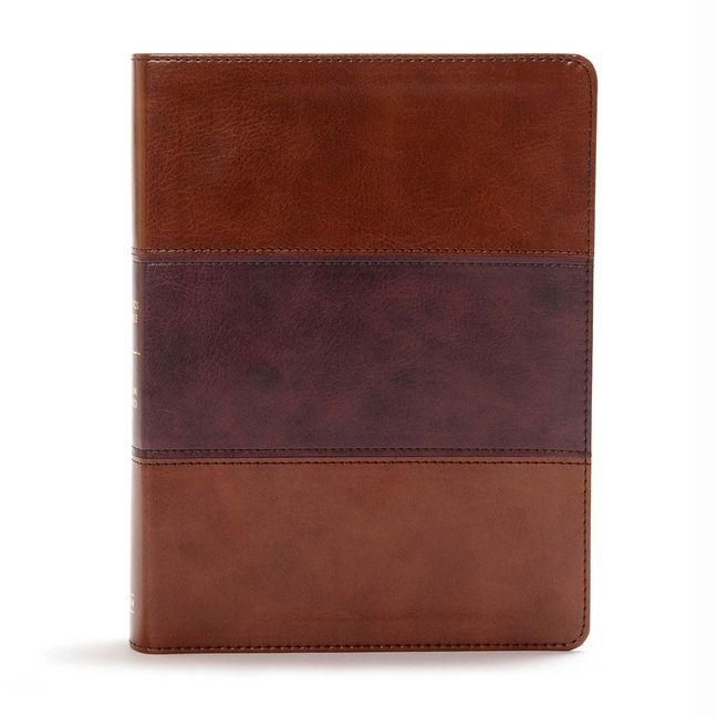 Produktbild: CSB Apologetics Study Bible, Mahogany Leathertouch