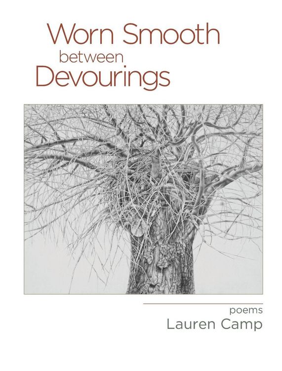 Produktbild: Worn Smooth between Devourings