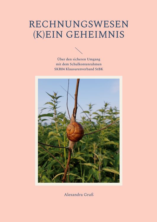 Produktbild: Rechnungswesen (k)ein Geheimnis