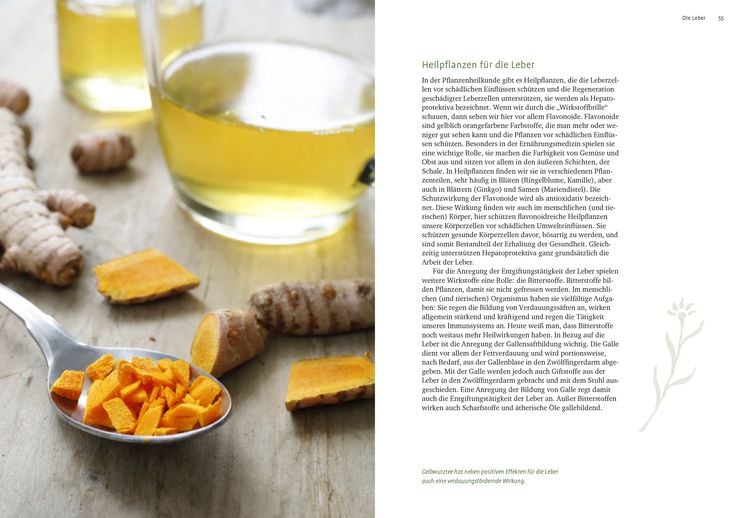 Produktbild: Entgiften mit Heilpflanzen