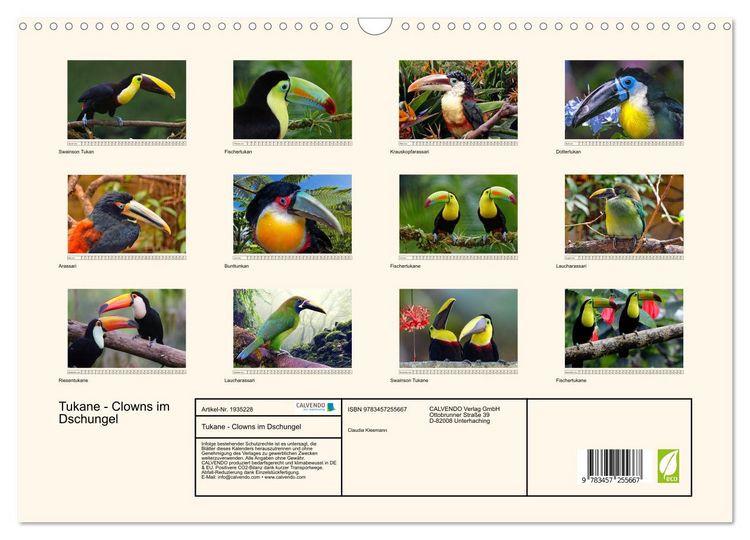 Produktbild: Tukane - Clowns im Dschungel (Wandkalender 2026 DIN A3 quer), CALVENDO Monatskalender