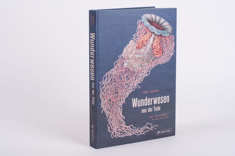 Produktbild: Wunderwesen aus der Tiefe. Ernst Haeckel