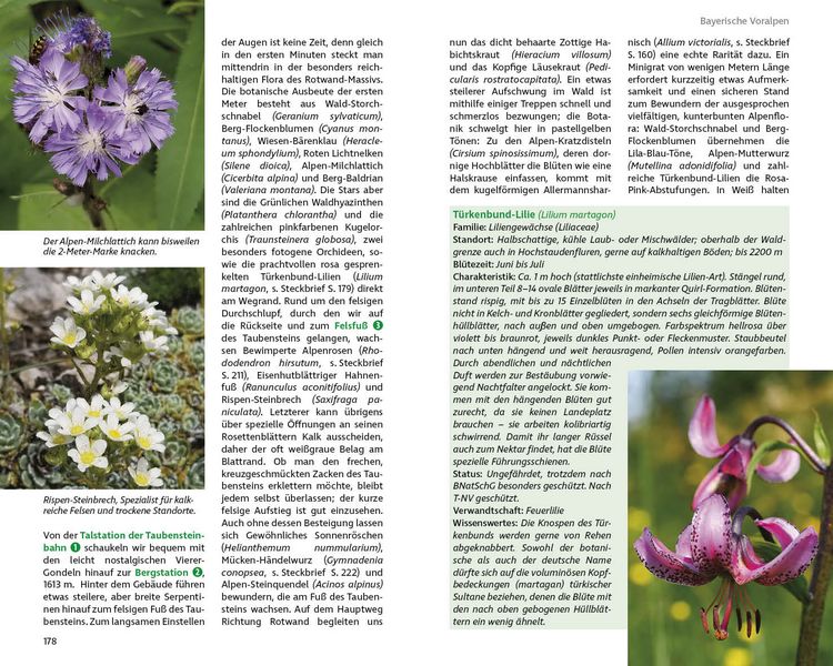 Produktbild: ROTHER Wanderbuch Blumenwanderungen Bayerische Alpen