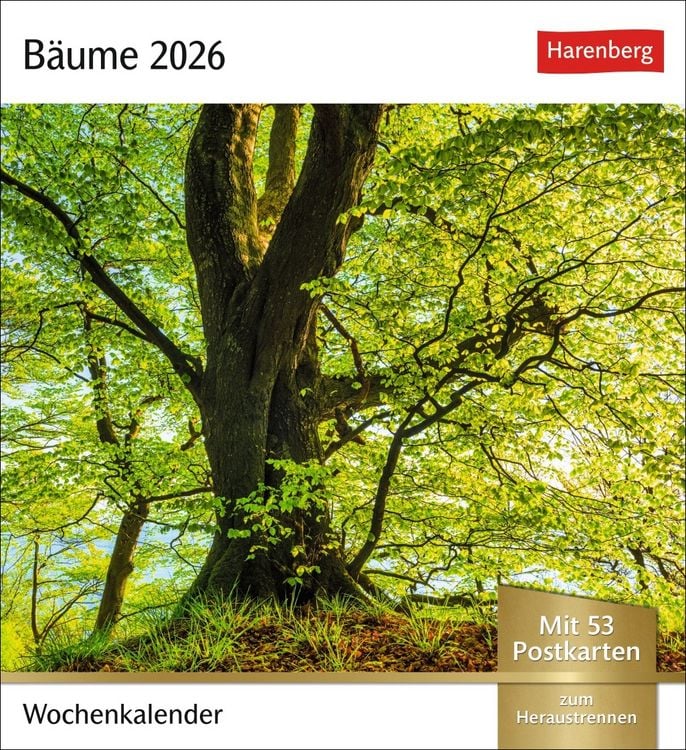 Bild vom Artikel Bäume Postkartenkalender 2026 - Wochenkalender mit 53 Postkarten vom Autor Harenberg