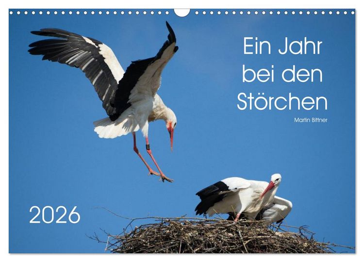 Produktbild: Ein Jahr bei den St&ouml;rchen (Wandkalender 2026 DIN A3 quer), CALVENDO Monatskalender