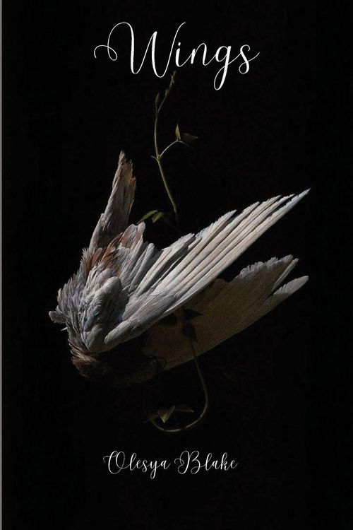 Produktbild: Wings