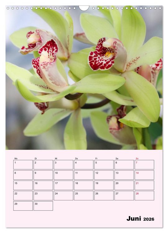 Produktbild: Orchideenliebe (Wandkalender 2026 DIN A3 hoch), CALVENDO Monatskalender