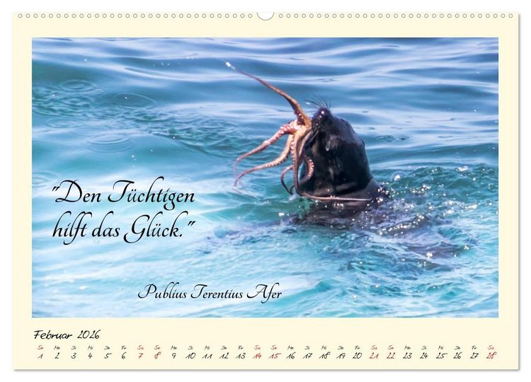 Produktbild: Gl&uuml;cksmomente Gl&uuml;cks-Zitate zu Fotos der gro&szlig;artigen s&uuml;dafrikanischen Tierwelt (hochwertiger Premium Wandkalender 2026 DIN A2 quer), Kunstdruck in Hochglanz