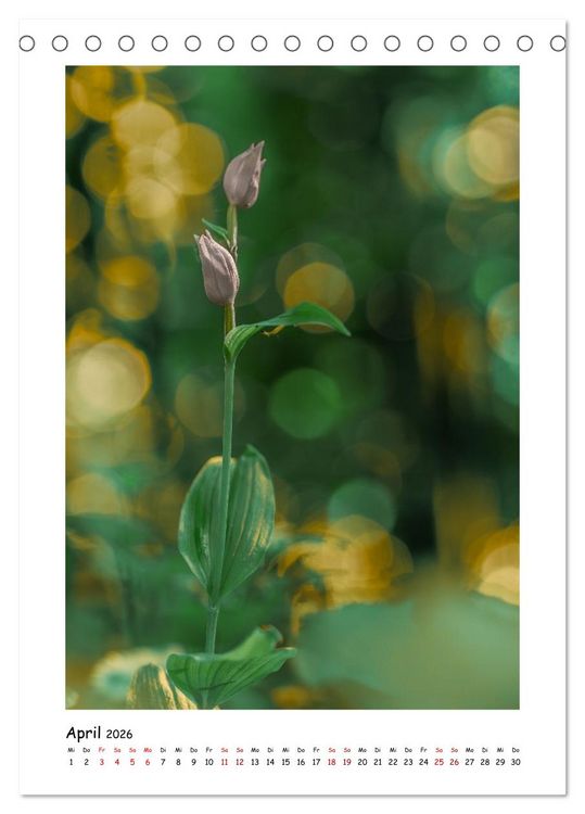 Produktbild: Bubble Bokeh (Tischkalender 2026 DIN A5 hoch), CALVENDO Monatskalender