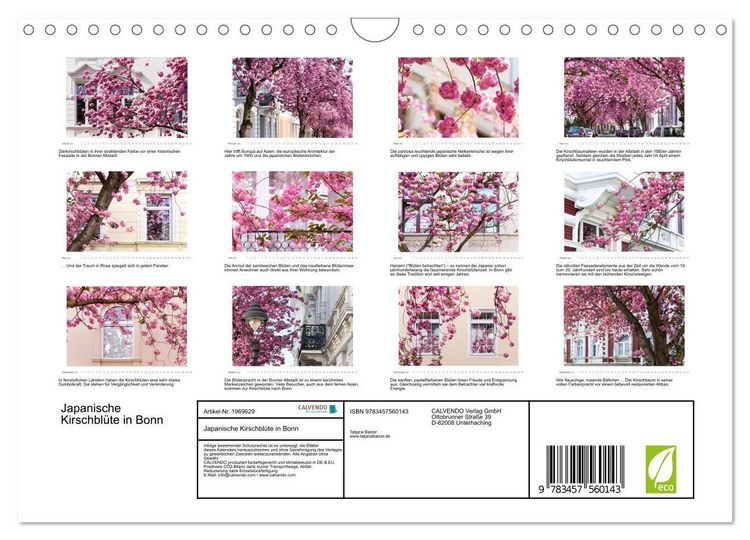 Produktbild: Japanische Kirschbl&uuml;te in Bonn (Wandkalender 2026 DIN A4 quer), CALVENDO Monatskalender