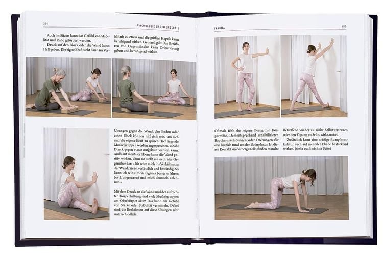Yoga-Therapie in der Praxis
