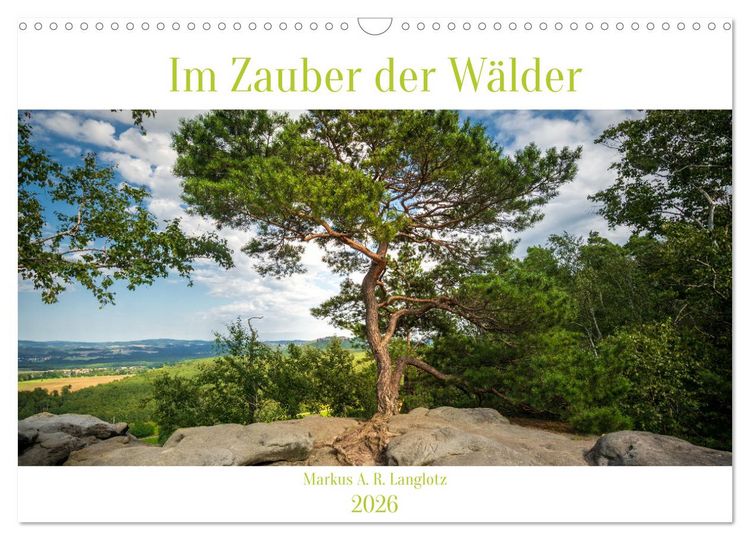 Produktbild: Im Zauber der W&auml;lder (Wandkalender 2026 DIN A3 quer), CALVENDO Monatskalender