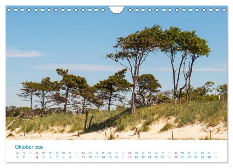 Produktbild: Der Dar&szlig; Kalender CH-Version (Wandkalender 2026 DIN A4 quer), CALVENDO Monatskalender