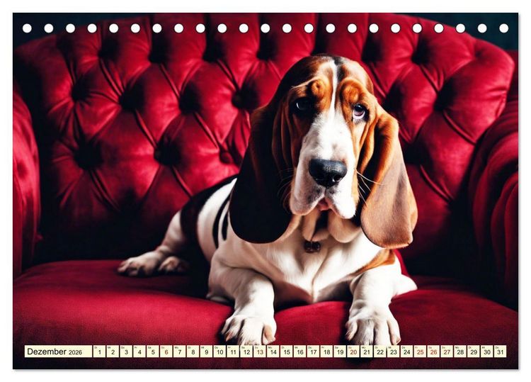 Produktbild: Basset Hound - unverkennbar (Tischkalender 2026 DIN A5 quer), CALVENDO Monatskalender