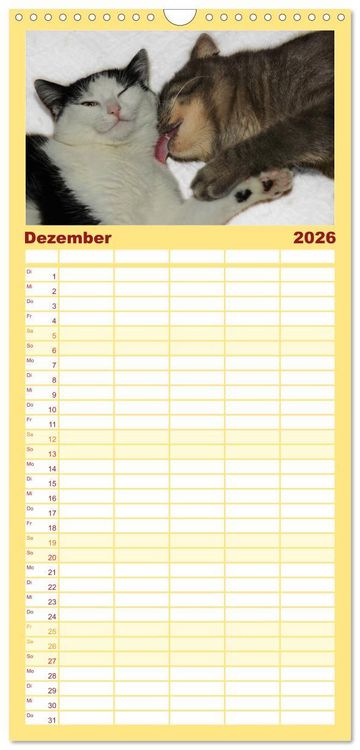 Produktbild: Familienplaner 2026 - Die Launen der Katzen 2026 mit 5 Spalten (Wandkalender, 21 x 45 cm) CALVENDO