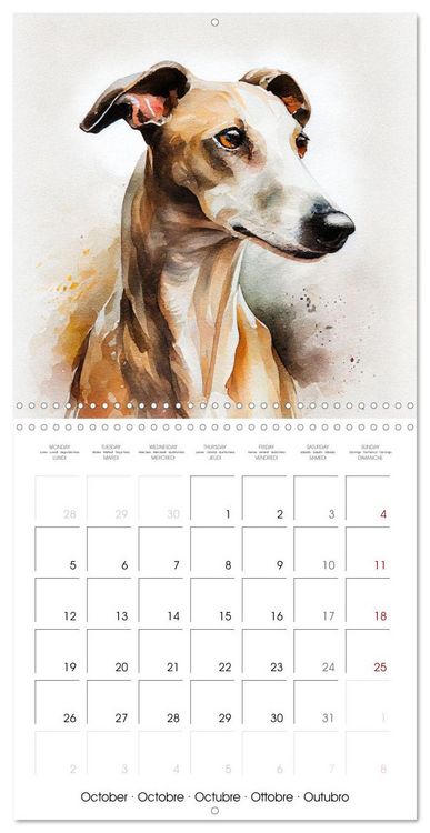 Produktbild: Artistic Dog Breeds (Wall Calendar 2026 12 &times; 12 Inch) CALVENDO 12 Month Wall Calendar