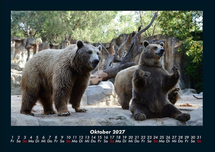 Produktbild: Tierkalender 2027 Fotokalender DIN A4