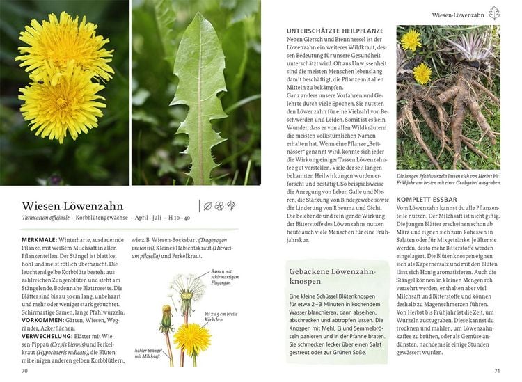 Produktbild: Unsere essbare Natur