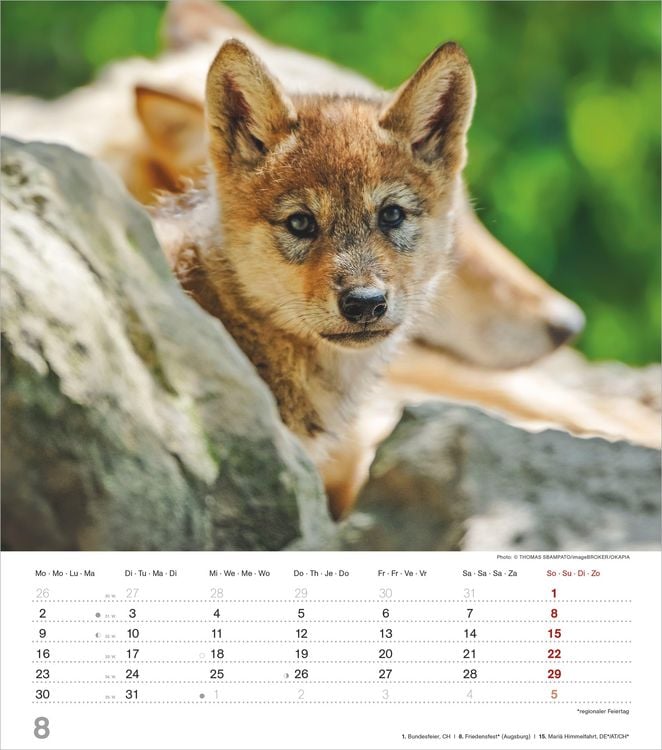 Produktbild: Mythos Wolf 2027
