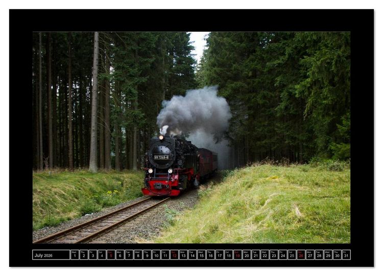 Produktbild: Steam Experience (Wall Calendar 2026 DIN A4 landscape), CALVENDO 12 Month Wall Calendar
